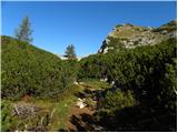 Konec ceste na Vogar - Planina Lopučnica